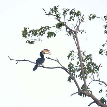 Pelican View Cottages Kataragama Esterno foto