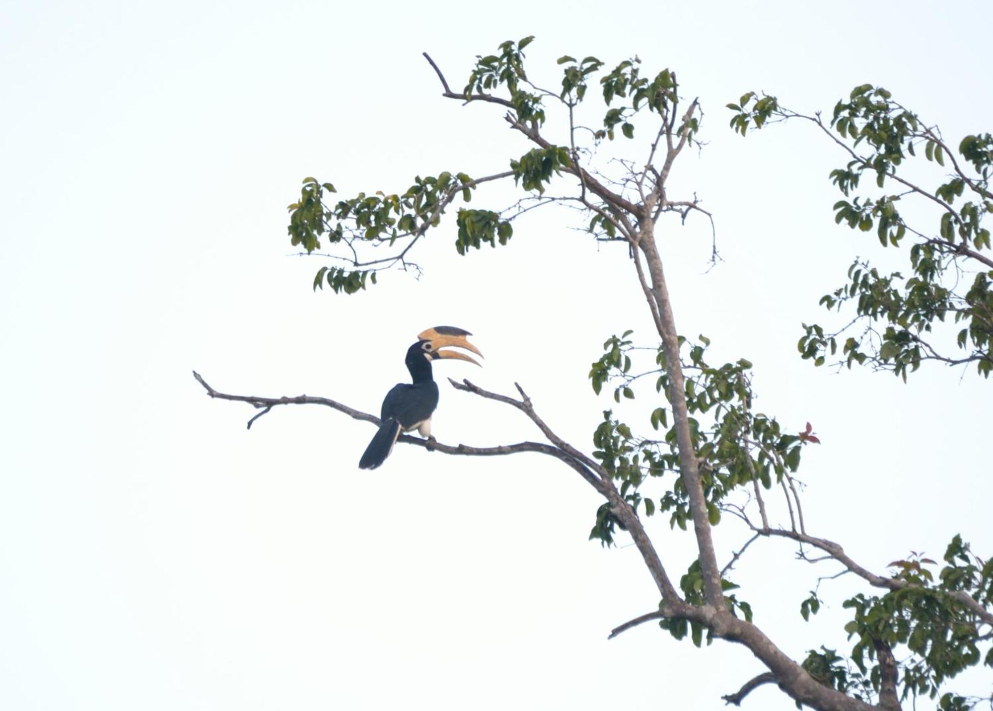Pelican View Cottages Kataragama Esterno foto